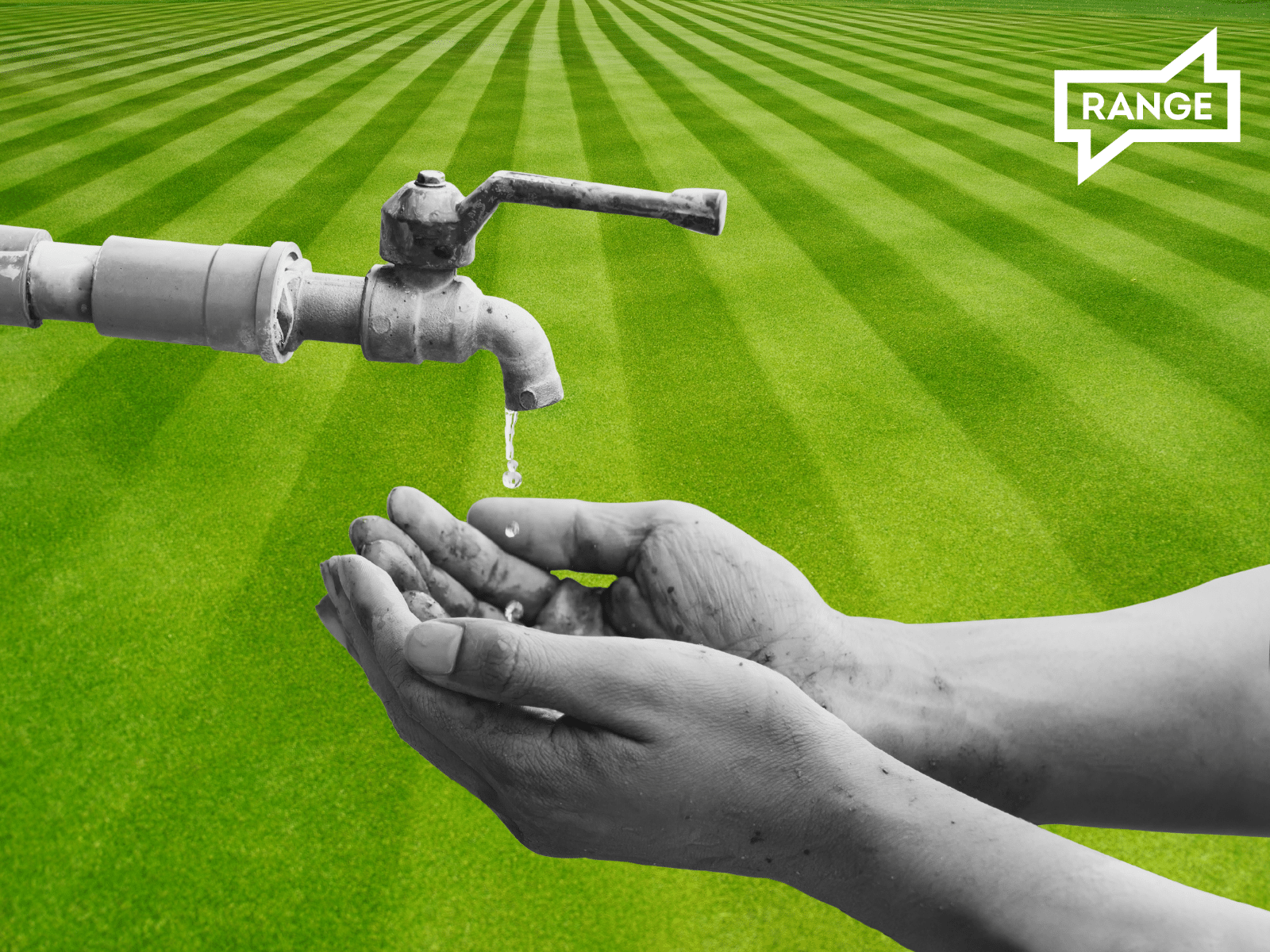 Hands in front of a lawn